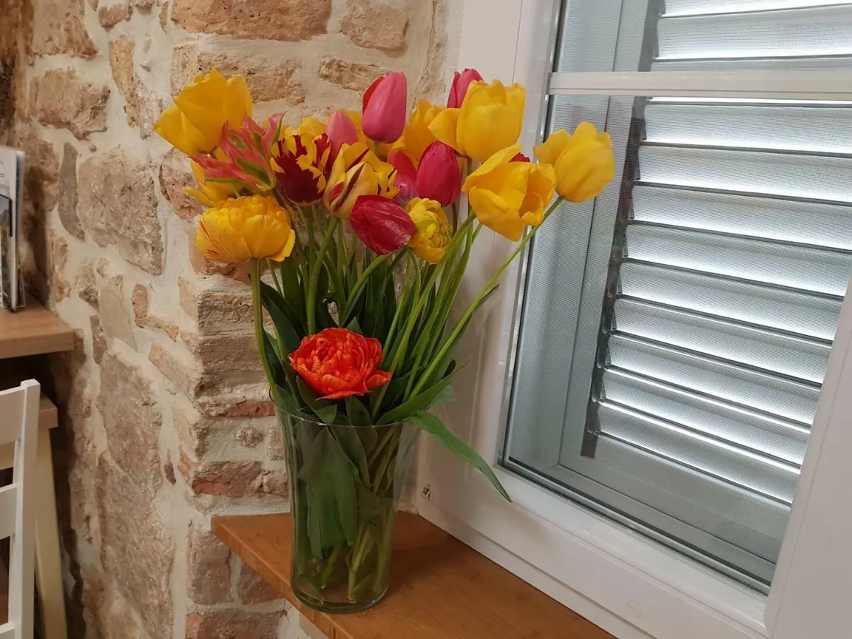 Studio Apartment B&B Zadar Sunset Croatia