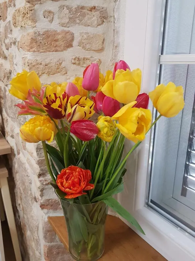 Studio Apartment B&B Zadar Sunset Croatia